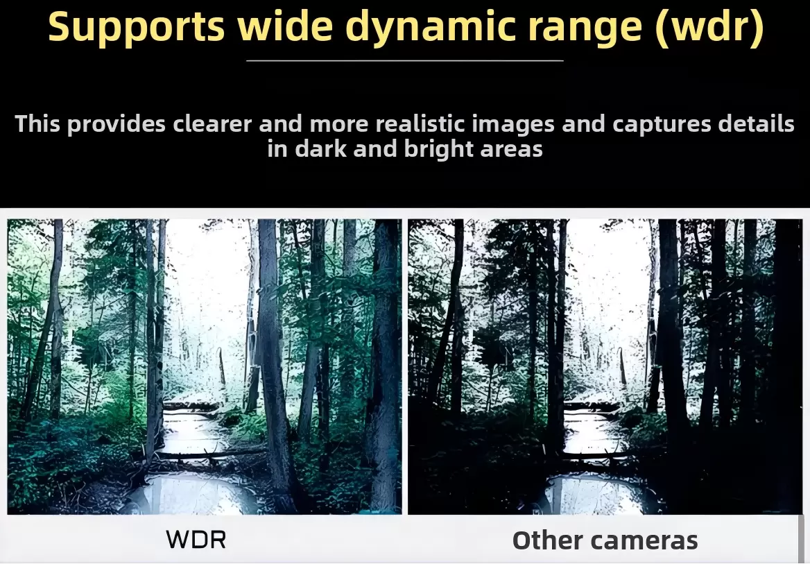 แคดเอ็กซ์ เรเทล โปร